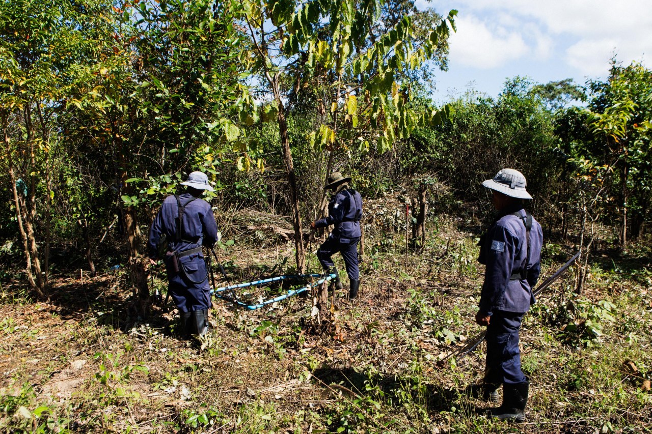 A clearance team searches the area with metal detectors for any UXO that may be buried under the ground.