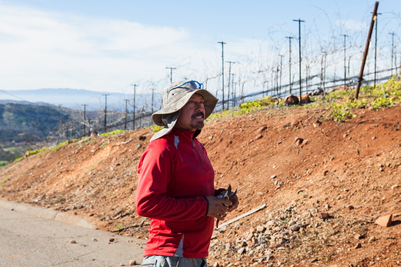 Jose Aranda, a farmworker at Stehly Grove Management.