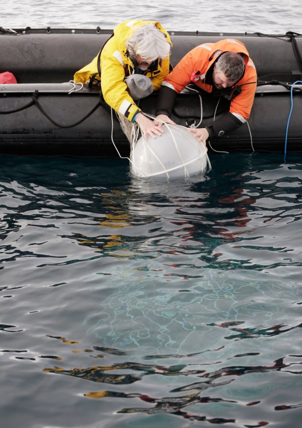 Ponomarev lowers a part of his underwater installation “Alchemy of Antarctic Albedo (or Washing of Pale Moons)” into the ocean from a Zodiac speedboat.