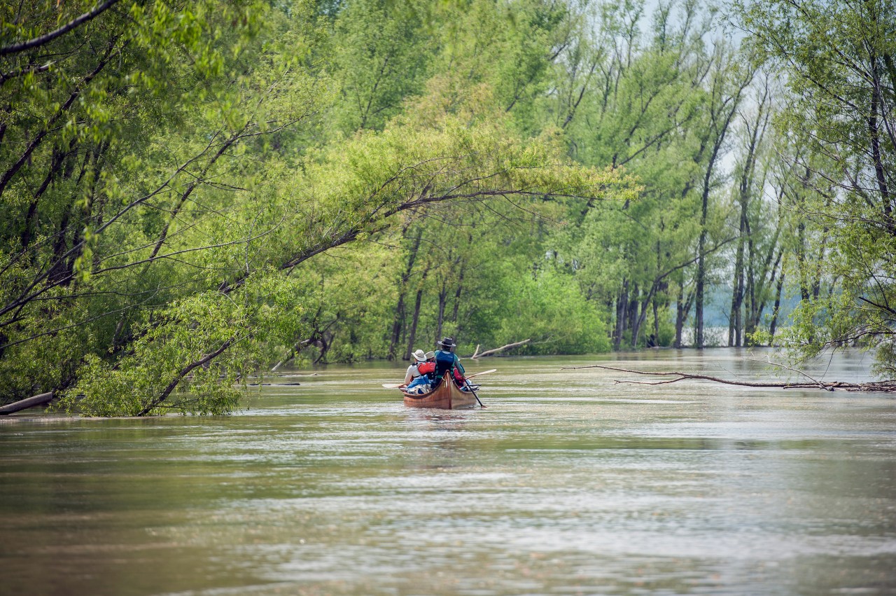 The river’s backchannels, where there is less traffic and little engineering, give a flavor of the river as it once was.