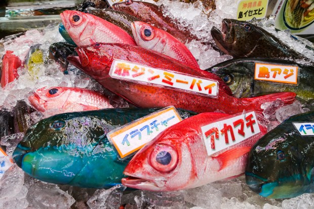 Fresh fish for sale at the Makishi Public Market.