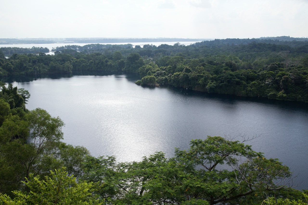 The viewpoint on top of Puaka Hill, the highest point of Pulau Ubin.
