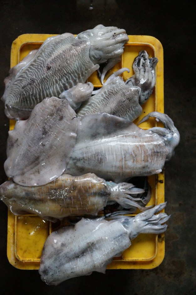 1. Fresh cuttlefish. / 2. Baskets of oil sardines at Rameswaram jetty.