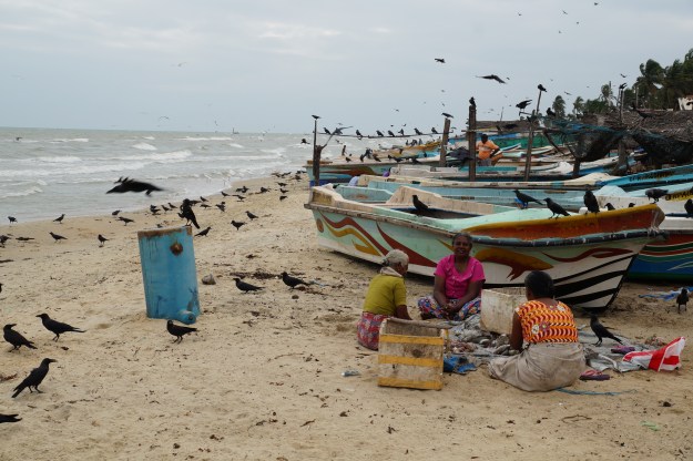 1. Women sorting fish in the harbor at Pesalai, Mannar Island, Sri Lanka. / 2. Mariyarani's crab and cuttlefish curry flavored with curry leaf, onion, and a masala of chili, coriander, black pepper, cumin, and fennel.