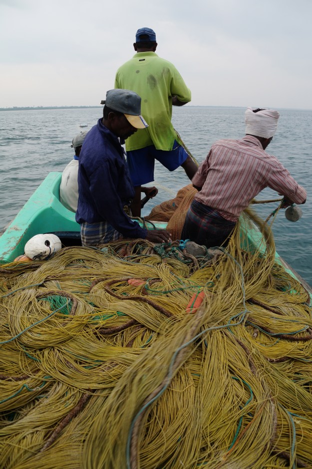 1. Sebastian Croos sets his nets off the coast of Mannar Island in northern Sri Lanka. / 2. Workers load oil sardines from the night's catch onto trucks at Rameswaram jetty. On Sunday, Tuesday, and Thursday mornings when the trawlers come in, as many as 70 trucks will load up at the harbor.