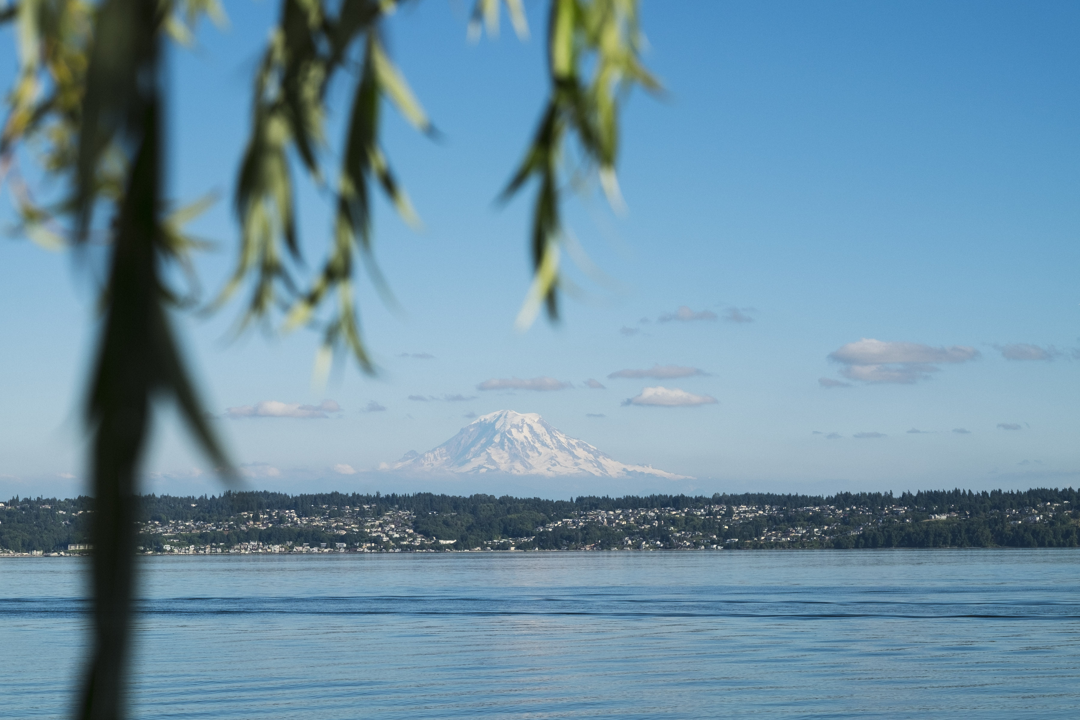 Need to know: Seattle – Explore Parts Unknown