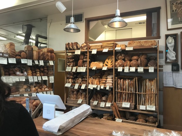 The pizza bianca is on the top shelf on the right.