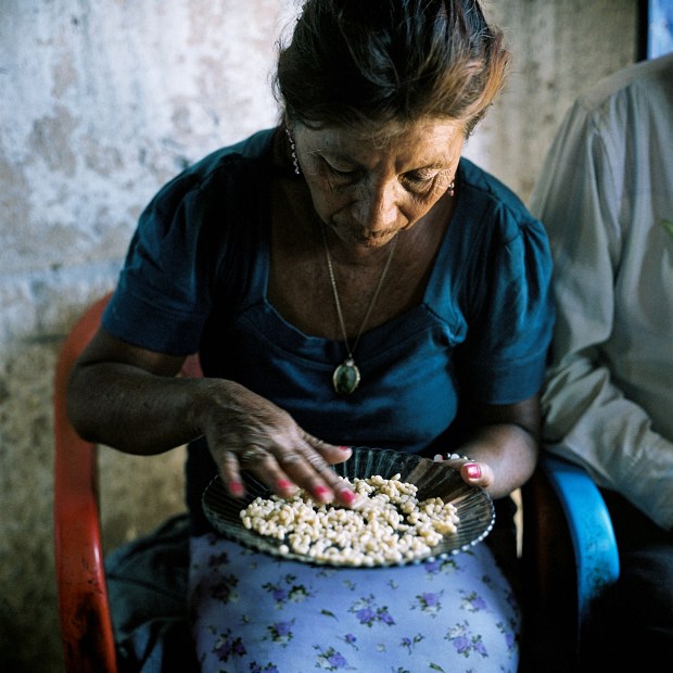 Maria Margarita, wife of Prieto, removes dirt from a plate of escamoles that Francisco and his son Blas, collected in the morning. Cerro Prieto, San Luis PotosÌ.