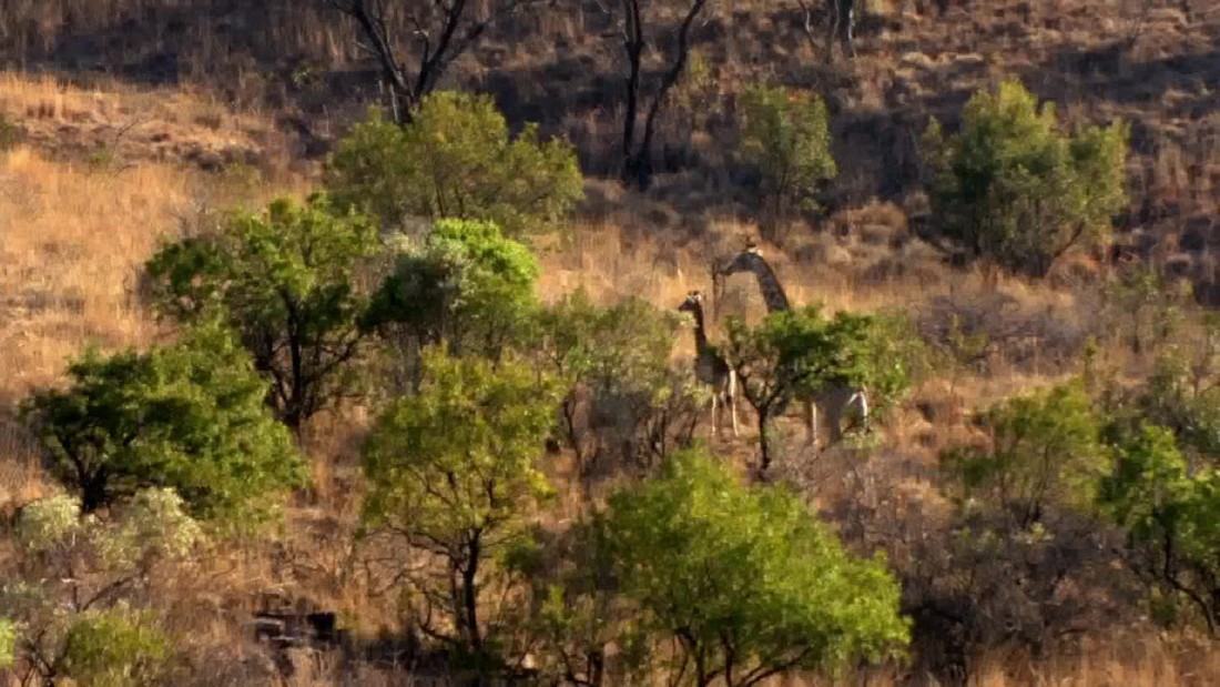 170501172538explorepartsunknownsouthafricatravelminute00000000