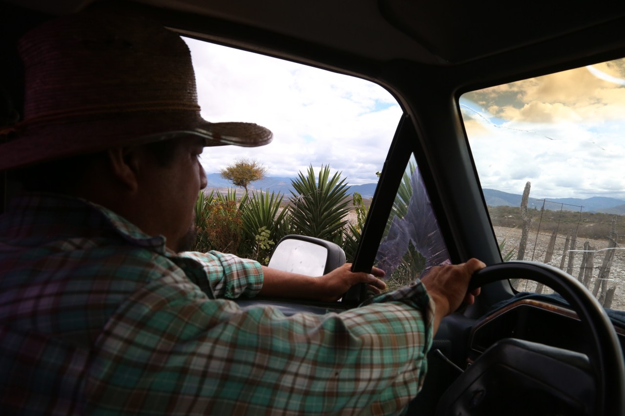 Augustin Guendulain drives by agaves in his field near Mihuatlan, Oaxaca, Mexico.