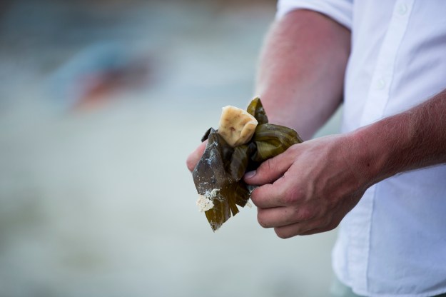 (Photos by Erik Osterholm)