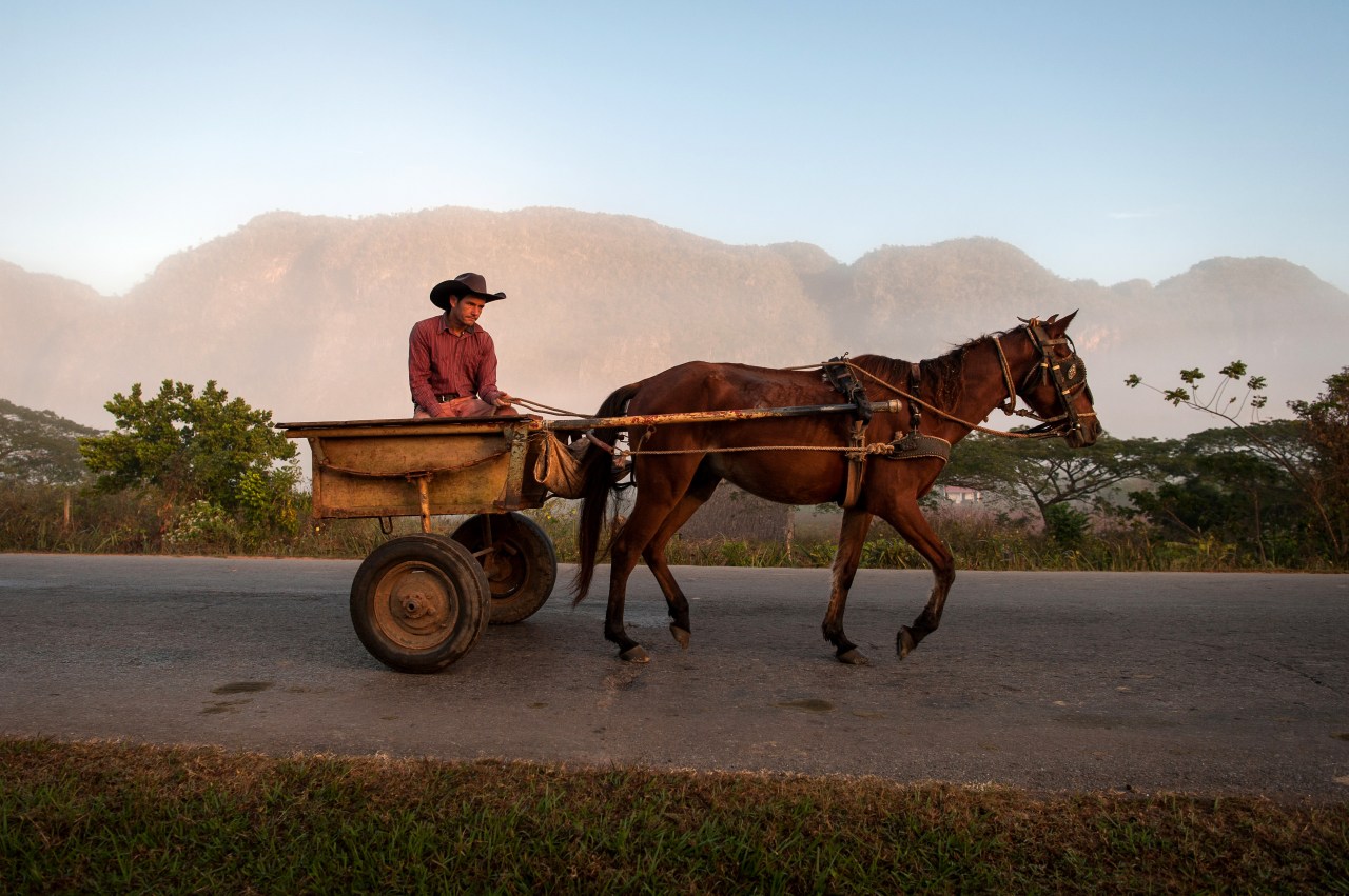 A cowboy rides his horse into Viñales in the early morning.