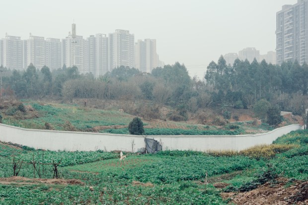 Urban farming plots spread along the outskirts of Chengdu.