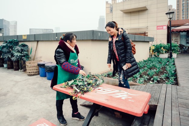 Photo 1: Ms. Wong, 60, talking with a customer in central Chengdu. Photo 2: People visiting Sky Farm.