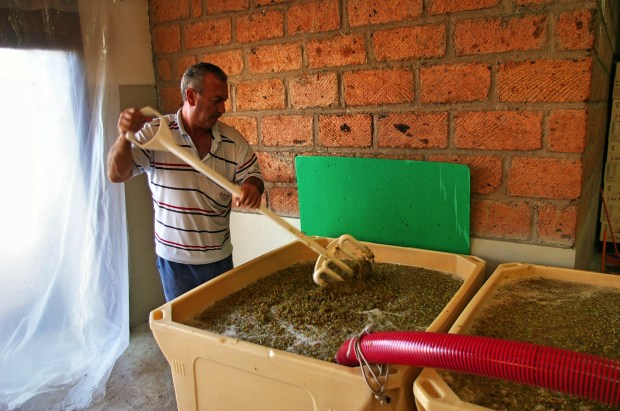 A worker at Van Ardi winery stirs grapes and juice collected immediately after crushing. Photo by: Christian Garbis