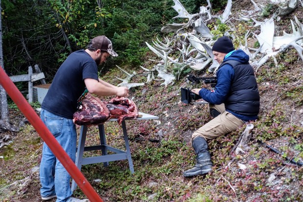 Butchering moose in Newfoundland.