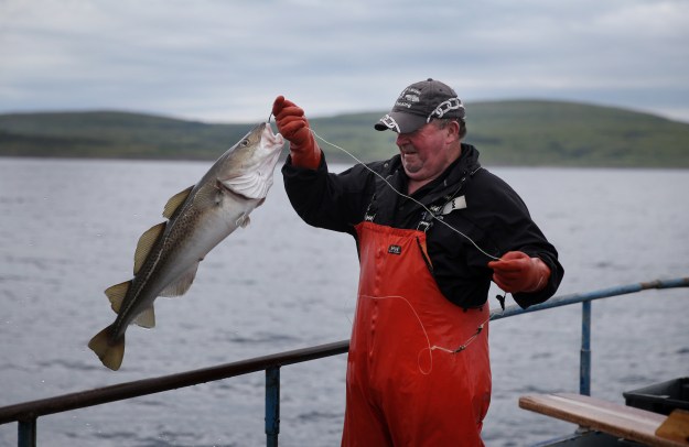 1: Fisherman Sam Lee hoists a cod from the water in Motion Bay. 2: Workers spread fillets onto a conveyor at the Icewater Seafood processing facility.