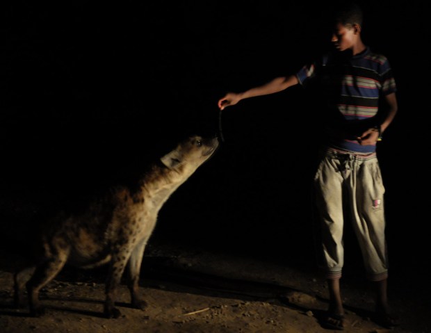 Face to face with Africa’s second-largest predator.
