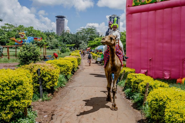 1. Out and about in Nairobi. 2. Camel riding at Uhuru Park.