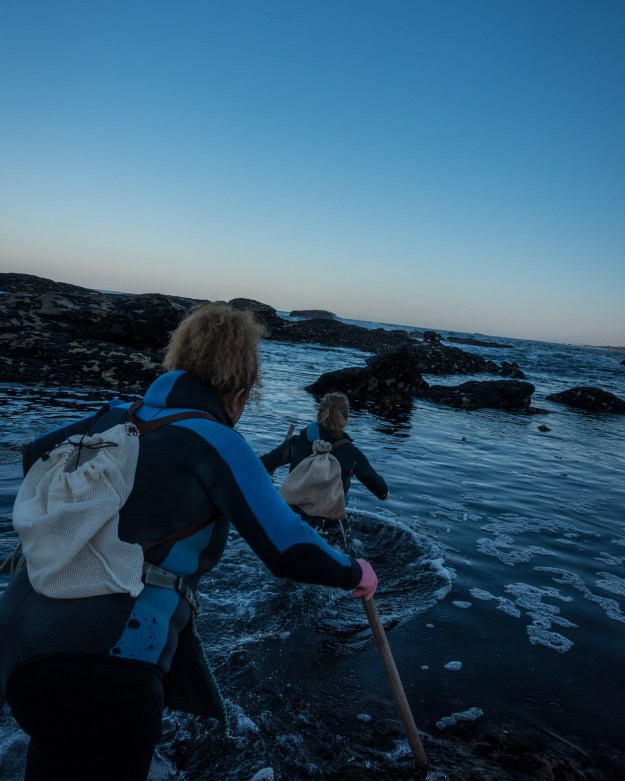 1. Isabel and Susana set off into the surf. 2. Isabel on the hunt at the water's edge.