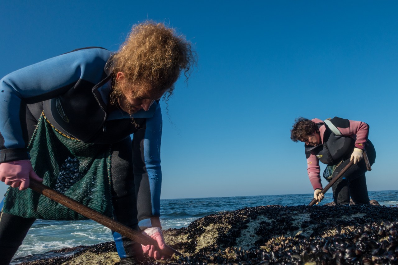 Susana and Lala search quickly as the surf recedes.