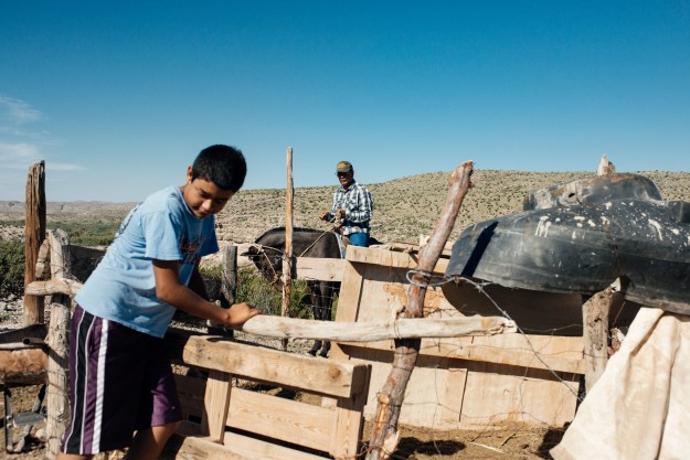 Mules and horses transport locals around Boquillas and are rented to a steady stream of tourists that visit the town.