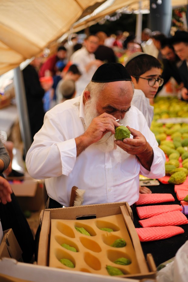 Why most Asian Jews use imported etrogs on Sukkot even though