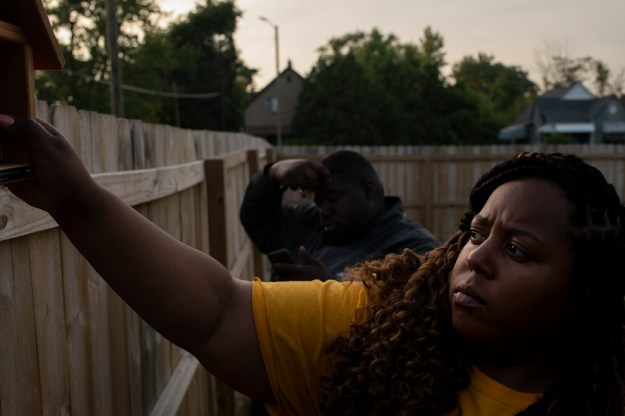 1: Detroit Hives co-owners Nicole Lindsey and Timothy "Paule" Jackson installs leaf cutter bees. 2: Lindsey looks in one of her hives.