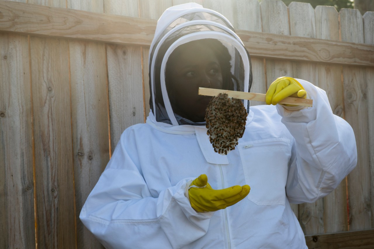 Lindsey holds up part of a colony of bees during a tour.