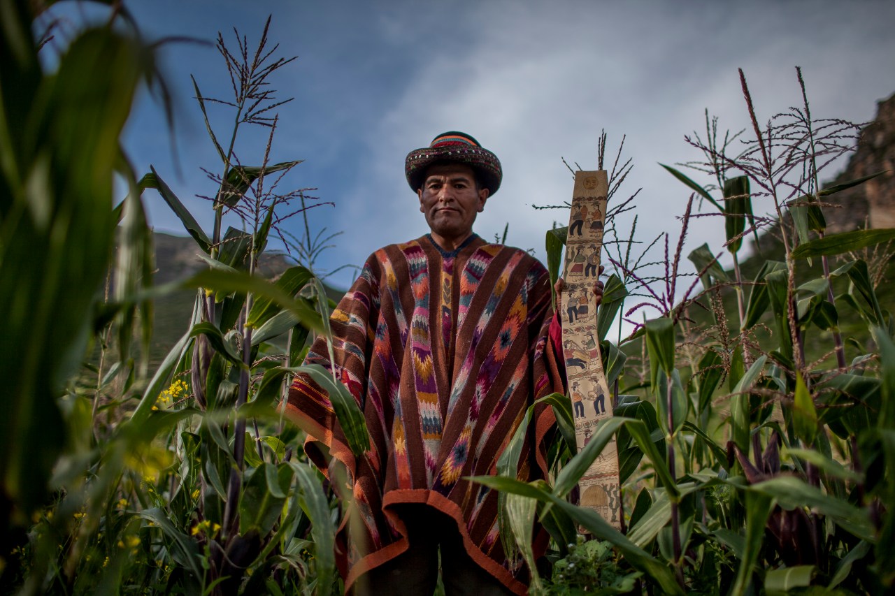 Misael Contreras, a Saruha-based artisan, poses in a field.